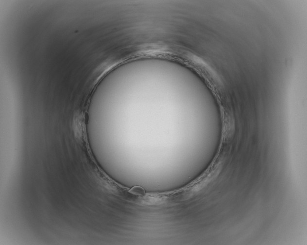 X0000111891361200907231439