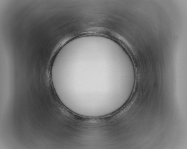 X0000111891362200907231439