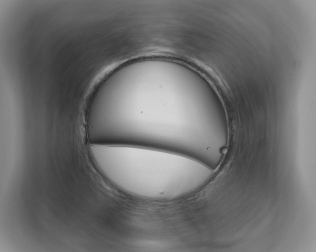 X0000111891363200907231439