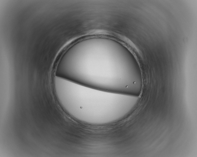 X0000111891364200907231439