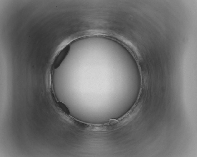 X0000111891365200907231439