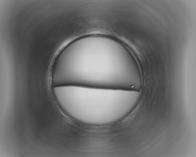 X0000111891367200907231439