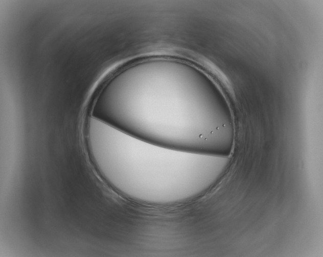 X0000111891368200907231439