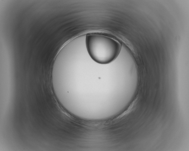 X0000111891369200907231439