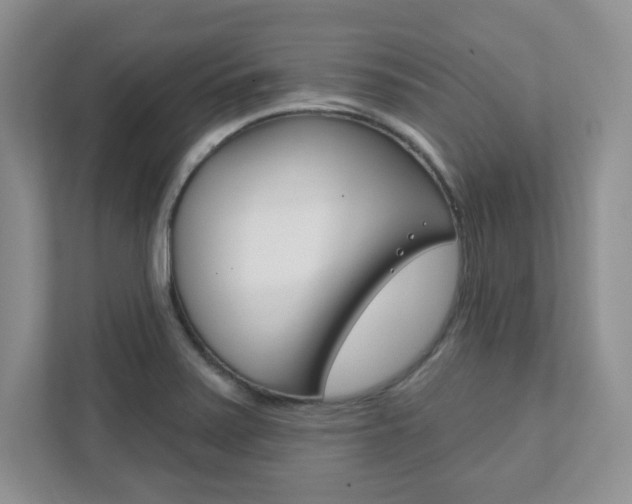 X0000111891371200907231439