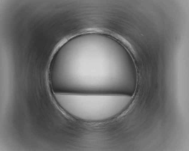 X0000111891373200907231438