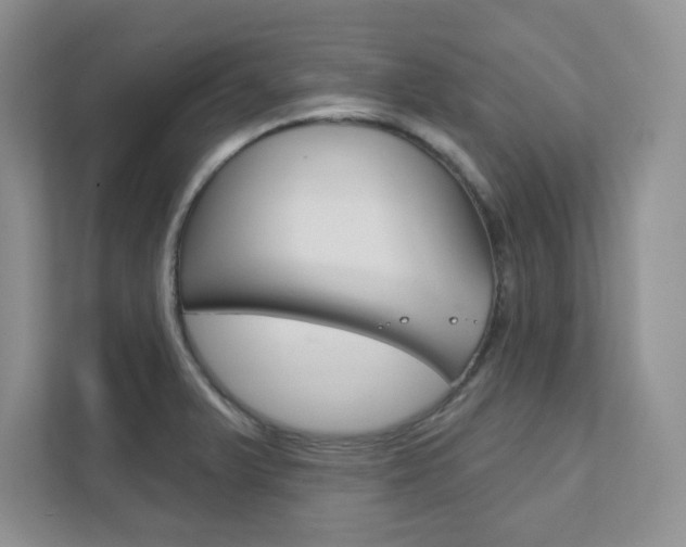 X0000111891375200907231438