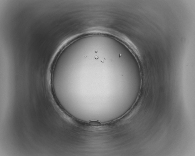 X0000111891376200907231438