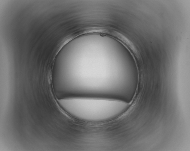 X0000111891377200907231438