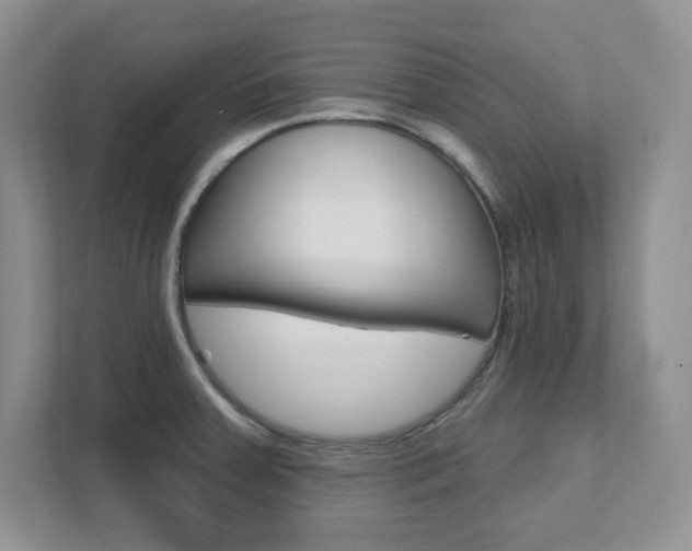 X0000111891379200907231438