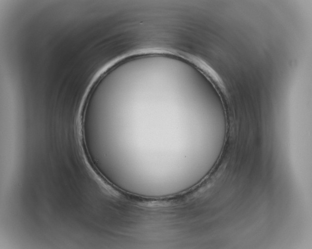 X0000111891380200907231438