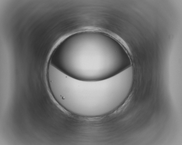 X0000111891381200907231438