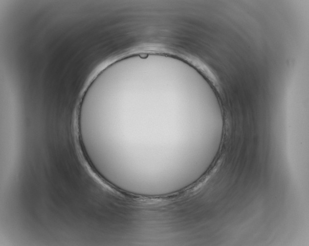 X0000111891382200907231438