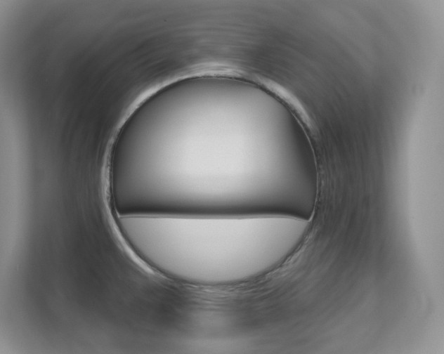 X0000111891383200907231438