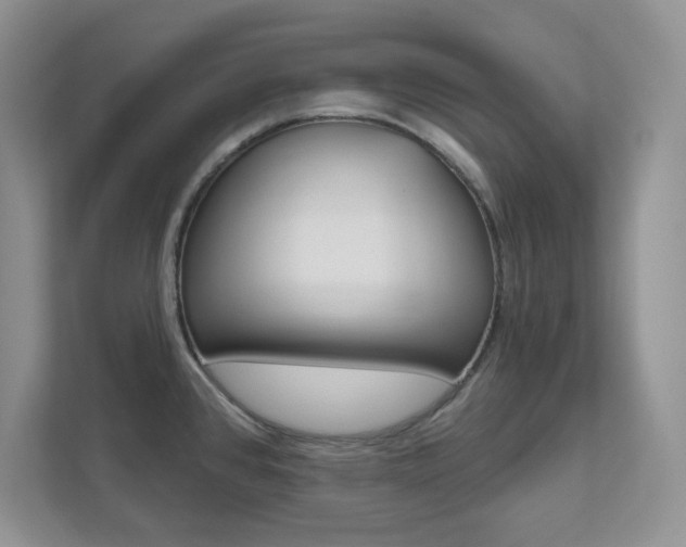 X0000111891384200907231438