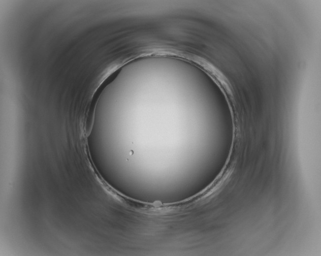 X0000111891385200907231438
