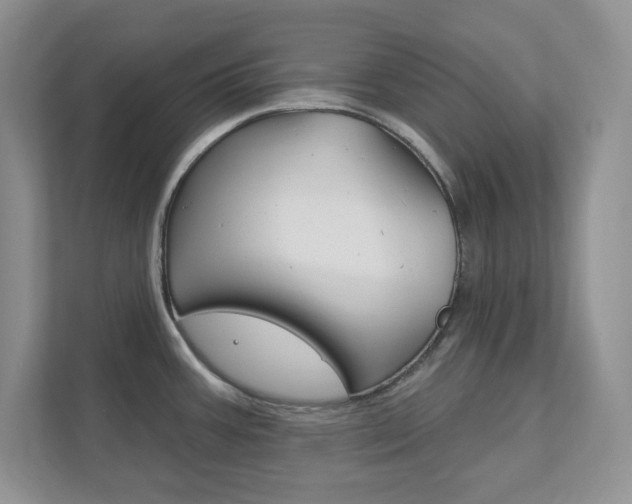 X0000111891387200907231438