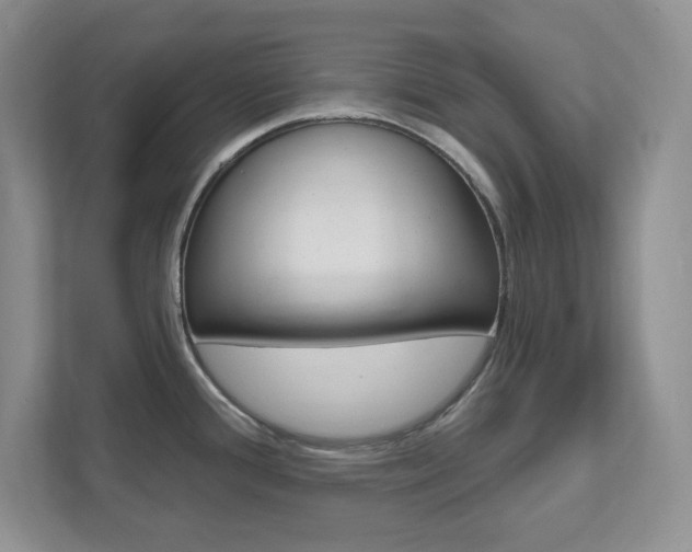 X0000111891388200907231438