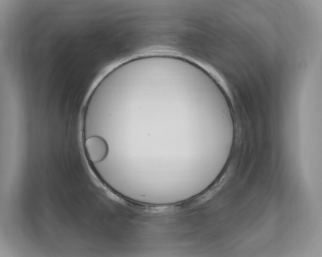 X0000111891390200907231438