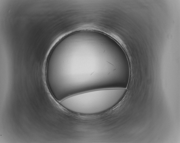 X0000111891392200907231438