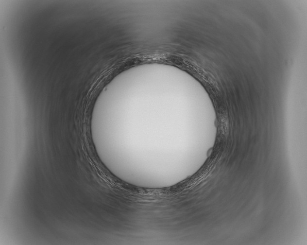 X0000111891393200907231438