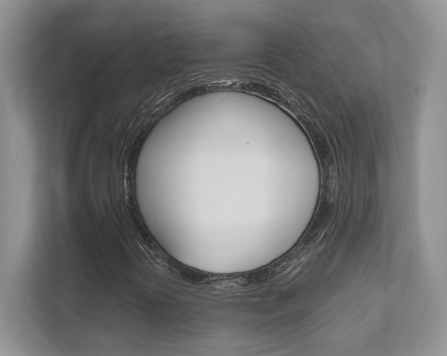 X0000111891394200907231438