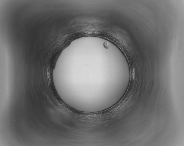 X0000111891396200907231438