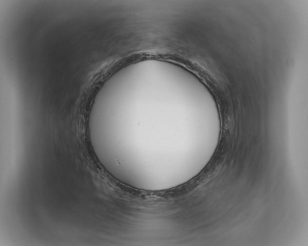 X0000111891398200907231438