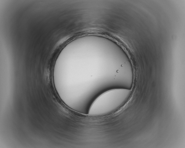 X0000111891402200907231438