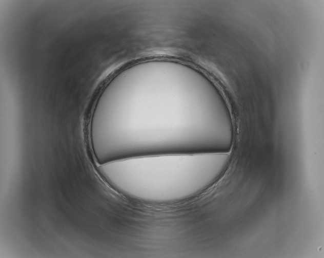 X0000111891404200907231438