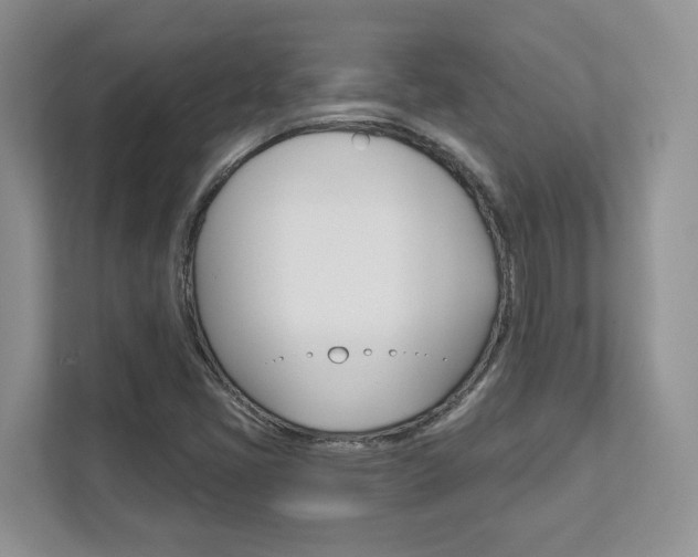 X0000111891405200907231438