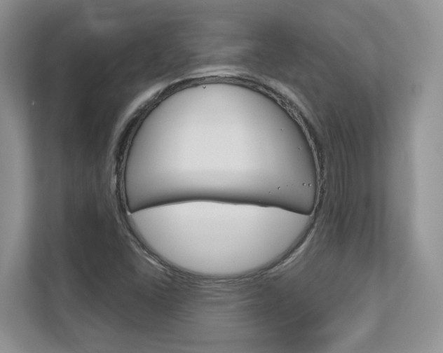 X0000111891406200907231438