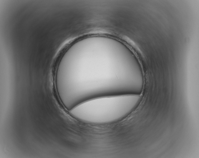 X0000111891408200907231438