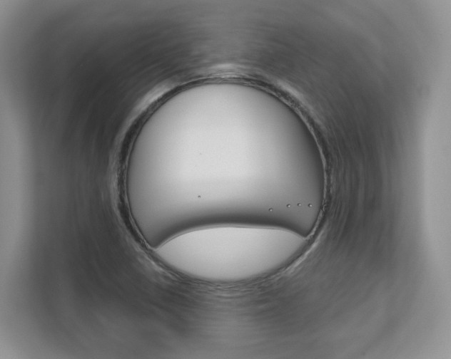 X0000111891410200907231438