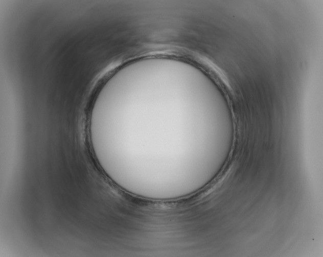 X0000111891411200907231438