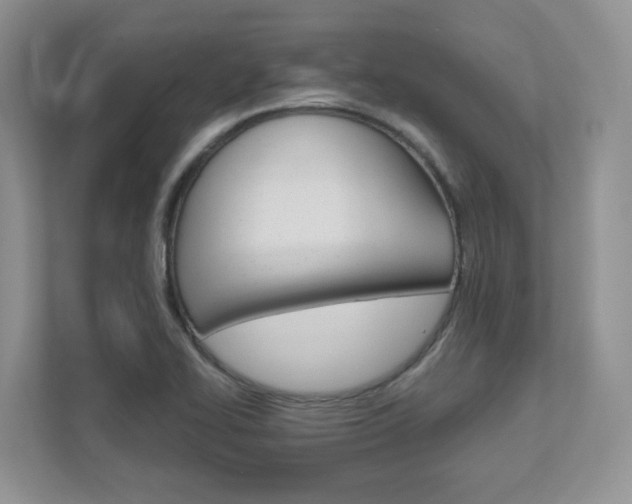 X0000111891414200907231438