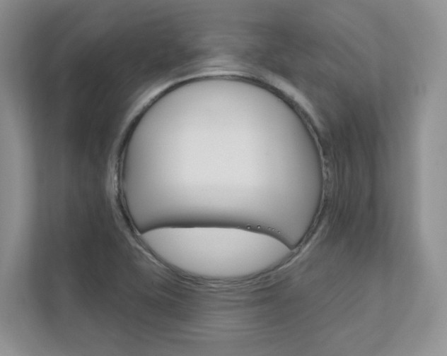 X0000111891415200907231438