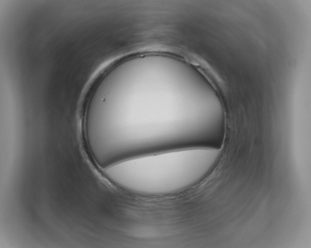 X0000111891416200907231438