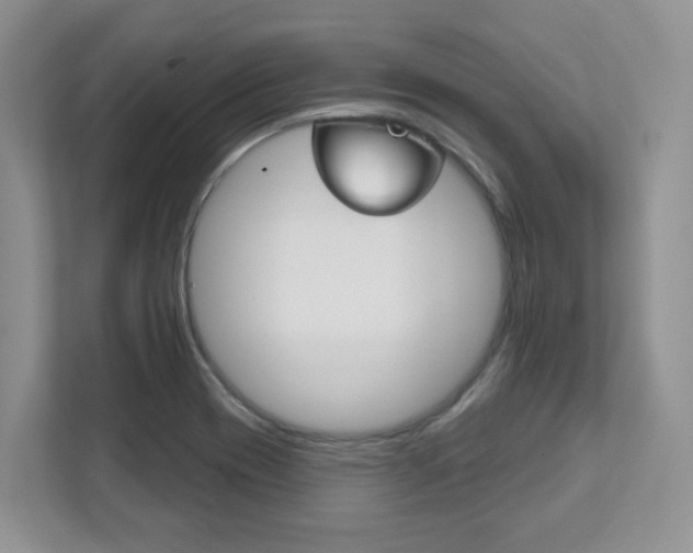 X0000111891417200907231438