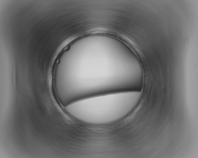 X0000111891418200907231438
