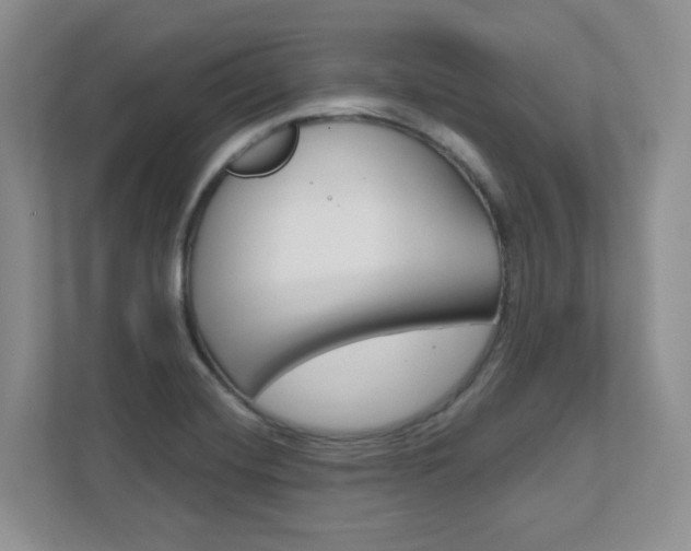 X0000111891420200907231438