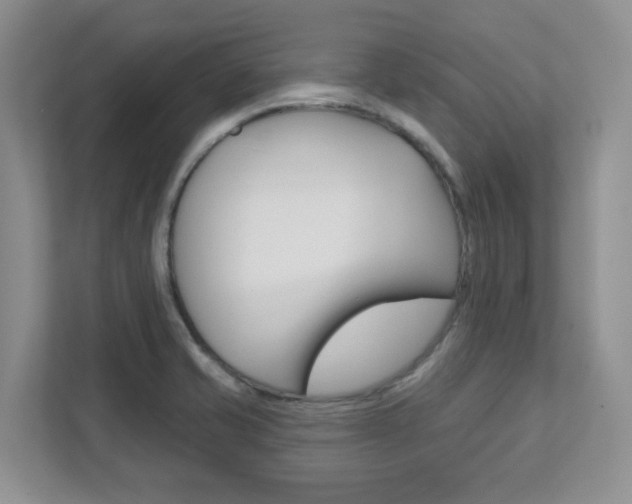 X0000111891421200907231438