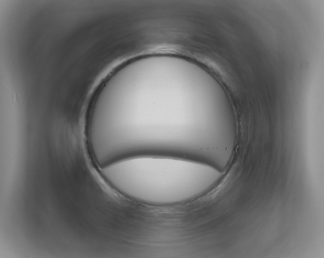 X0000111891422200907231438