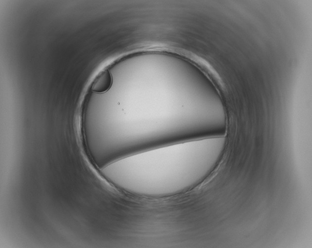 X0000111891424200907231438
