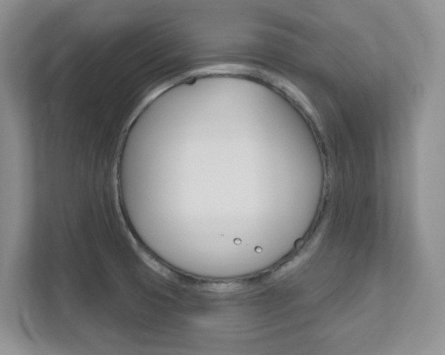 X0000111891425200907231438
