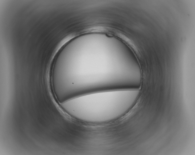 X0000111891426200907231438