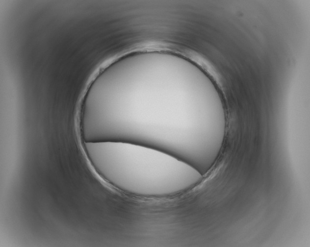 X0000111891429200907231438
