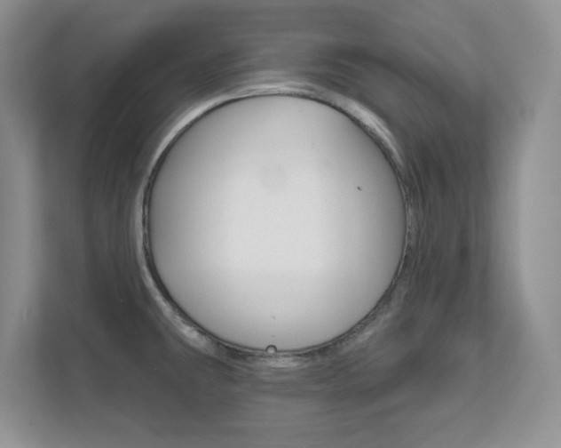 X0000111891431200907231438