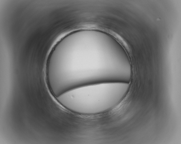 X0000111891432200907231438