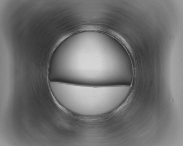 X0000111891433200907231438